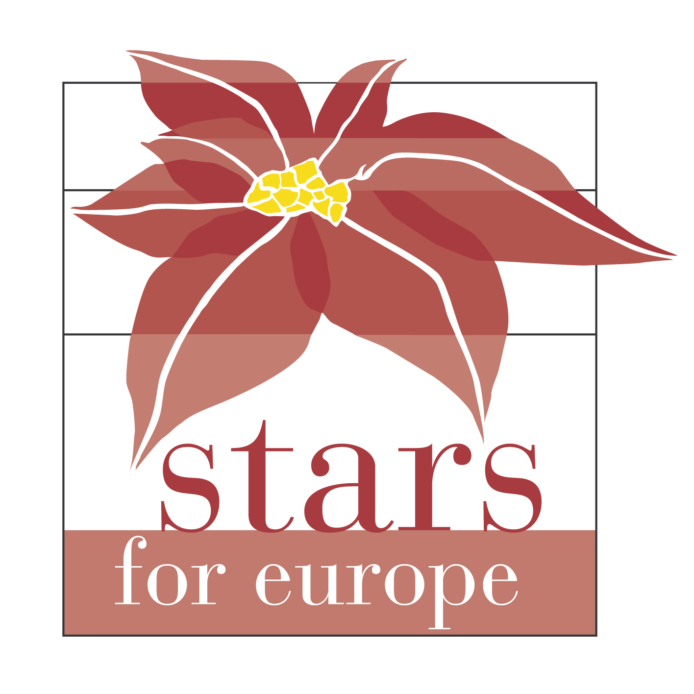 Il Racconto Della Stella Di Natale.Poinsettia Day Leggenda Cure E Manutenzione Garden Vivai Morselli Modena